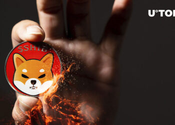 Shiba Inu (SHIB) Extremely Different Burning Since December: Details