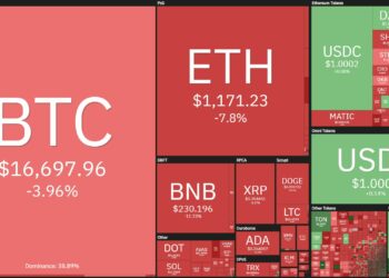 BNB led the cryptocurrency market crash on the morning of December 17th