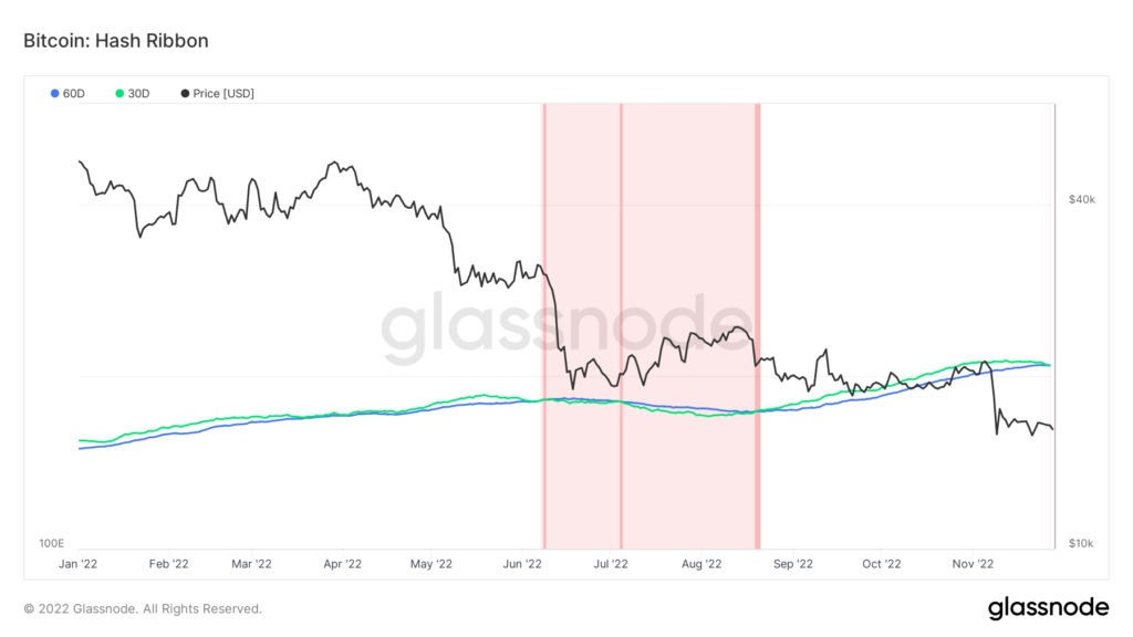 glassnode-studio_bitcoin-hash-ribbon__19_