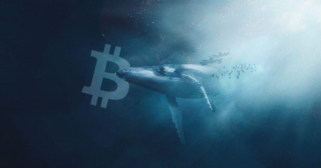 Bitcoin "whale" sales rate in November 2022 set a new record