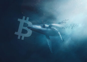 Bitcoin "whale" sales rate in November 2022 set a new record