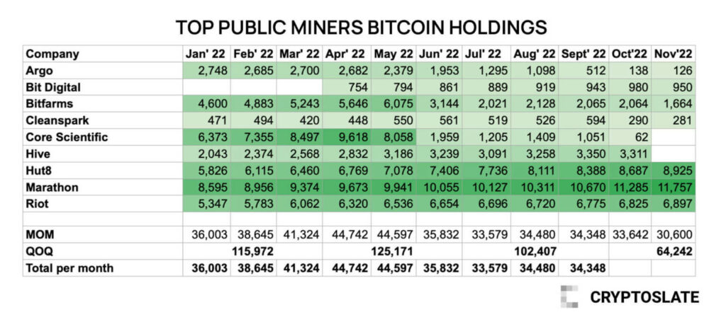 Top Public Miner Holds BTC