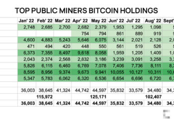 Top Public Miner Holds BTC