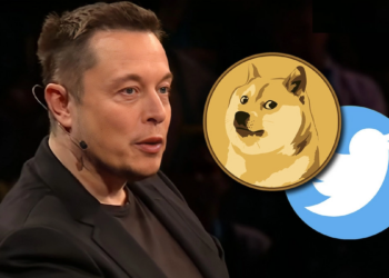 Dogecoin (DOGE) Drops 10% After Twitter Users Vote To Call For Elon Musk's Resignation