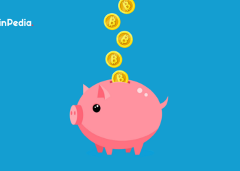 Is this the proper time to gather Bitcoins?  This is what the on-chain information says