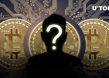 Here are the prime information associated to the mysterious BTC Creator from 2022