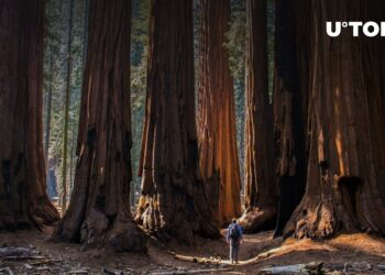VC Giant Sequoia stays bullish on crypto
