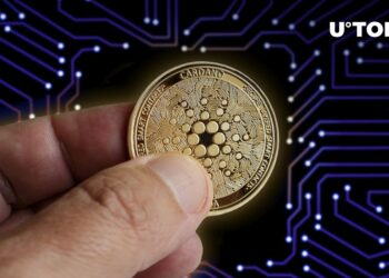 Cardano Contributor reveals vital developments for ADA payments