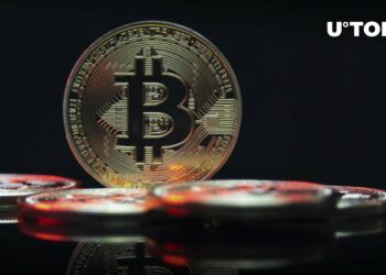 Sensational Analysis by Justin Bons