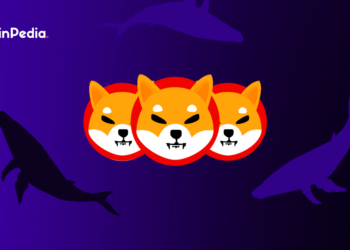 Is Shiba Inu Whales Not Interested In SHIB Tokens any longer?