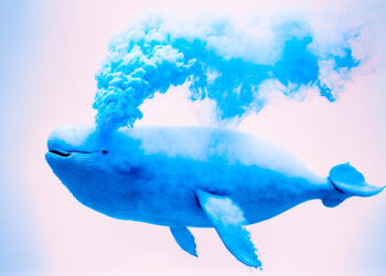 Crypto Whales Move Over $317,000,000 in Bitcoin, Ethereum, XRP, and Polygon – Here’s What It’s Going To Be