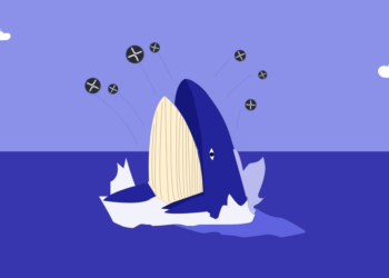 These are the most important motives why whales rank XRP