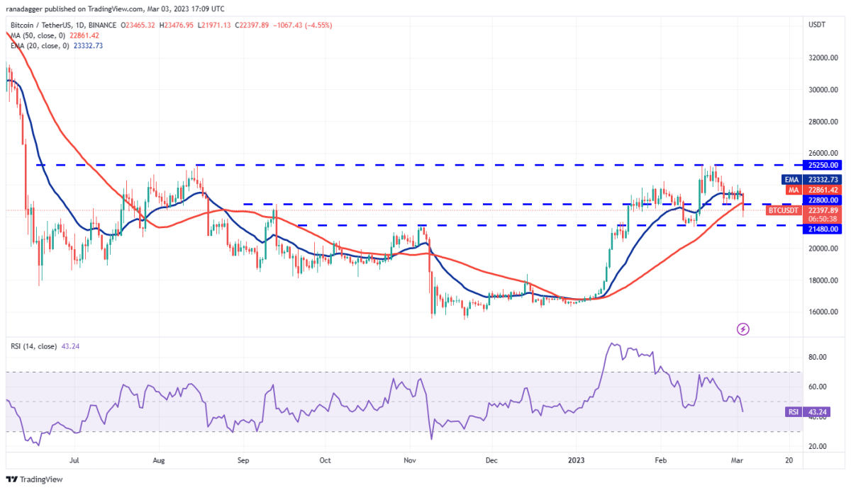 BTC/USDT . Daily Chart