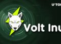 Volt Inu (VOLT) Launches Alpha Version Of Battle Royale Game
