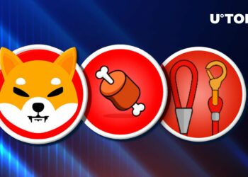 Shiba Inu (SHIB), BONE, LEASH costs recover as neighborhood fights FUD