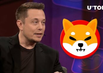 Elon Musk’s Tweet Meme Caused This Shiba Inu Lead’s Reaction