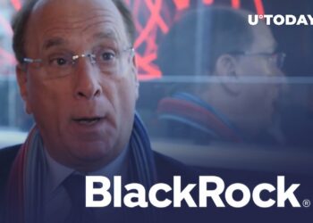 BlackRock CEO Touts Next Big Thing in Crypto