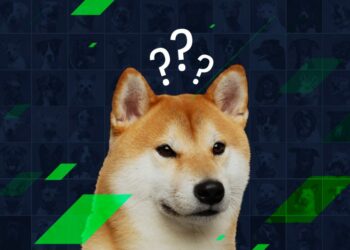 "Fatal error" detected in Dogecoin code and spread to 280 other blockchains