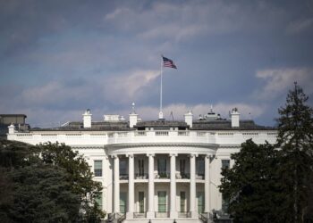 The White House criticizes the cryptocurrency