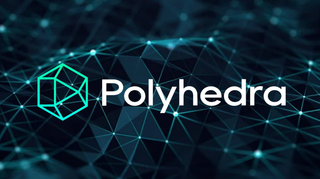 What is the Polyhedra Network?