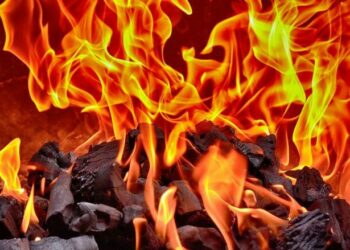 As the Shibarium Puppynet debate heats up, $SHIB Burn is skyrocketing in astounding numbers