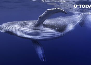 Massive BTC Whale Address Activated