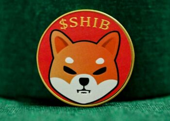 Lead developer Shiba Inu pointed out that much more $SHIB demands to be burned to “move the price”