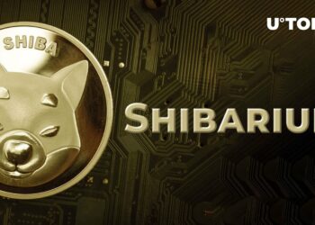 Shibarium adoption is set to skyrocket with the hottest addition