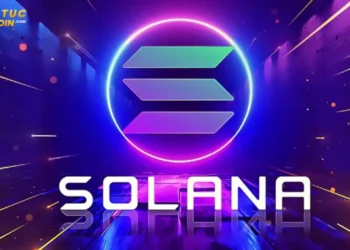 The price of Solana (SOL) has dropped more than 13% recently