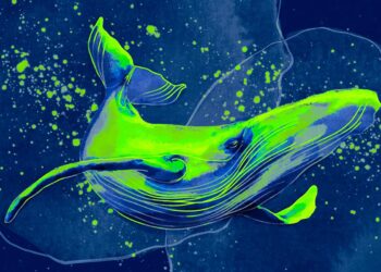 Bitcoin Whales Quietly Collect $one,875,819,869 in Crypto in Just 18 Days: Santiment