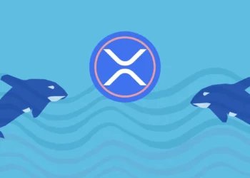 XRP Whales on the Move: 360 Million Tokens Moved