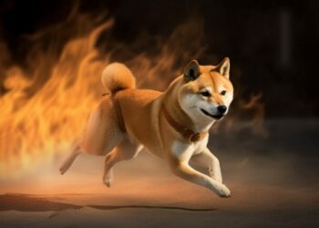 Crypto come to feel close to the clock: $SHIB burn up fee soars by practically two million %