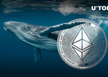 Ethereum (ETH) Whales Continue Massive Sell-Off, Is This the Reason for Stagnation?