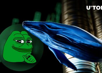 BlackRock Foundation Proved PEPE Whale, Community Response