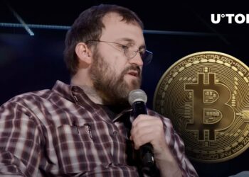 Cardano’s Hoskinson Shares His Opinion On Bitcoin Ordinals