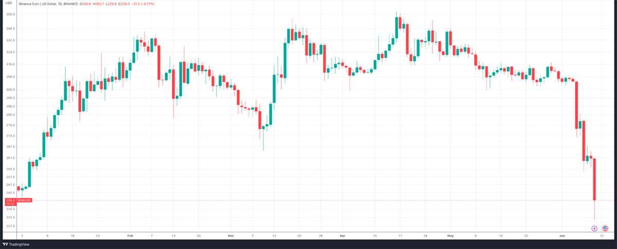 BNB price chart.  Source: TradingView