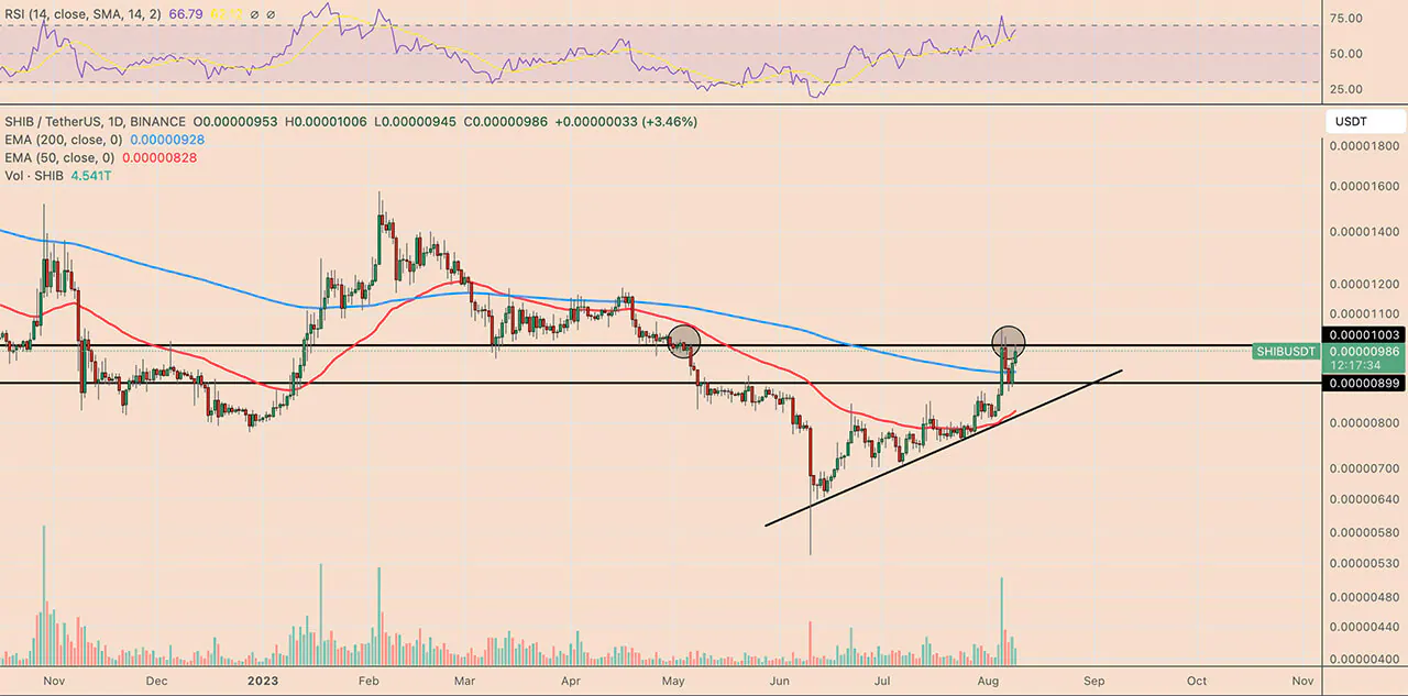 Daily price chart SHIB/USD.  Source: TradingView