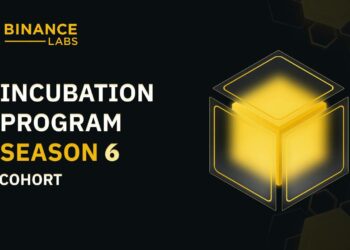 Binance Labs announced 12 approved projects for the Season 6 incubation round