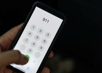 'Crypto Hotline' Seal 911 Saves Project from $200,000 in Damage