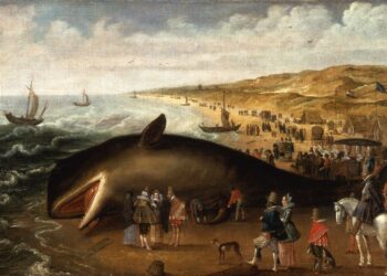 ETH "whale" stolen much more than $24 million due to phishing 3 ETH "whale" stolen more than $24 million due to phishing