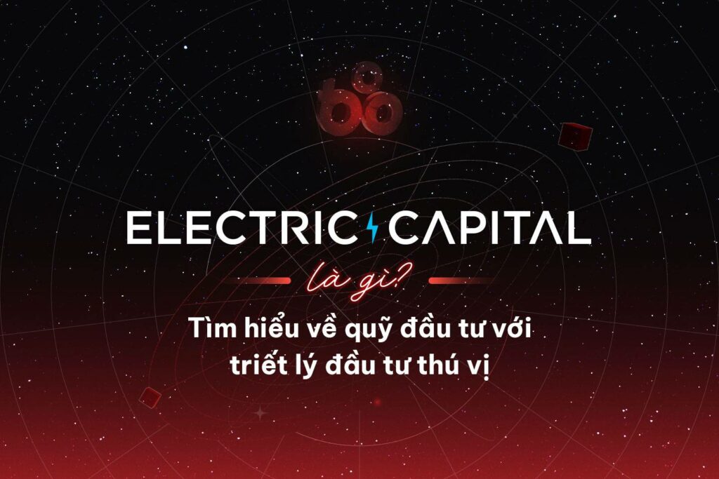 Electric Capital - An investment fund with an interesting investment philosophy