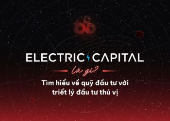 Electric Capital - An investment fund with an interesting investment philosophy