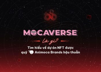 The NFT project is supported by the Animoca Brands fund