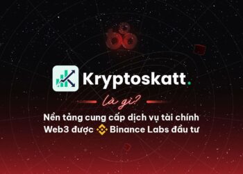 What is Cryptoskatt?  Web3 financial services platform invested by Binance Labs