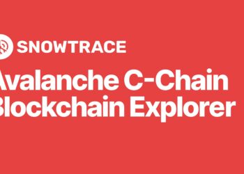 Leading blockchain explorer Avalanche stopped working at the end of November
