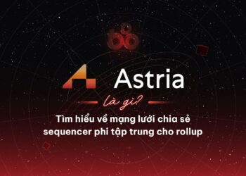 Network shared sequencer for rollup