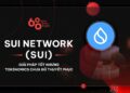 Tokenomics Research n.  12: On Networks (SUI)