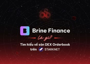What is Brine Finance? DEX buy guide on Starknet 9 What is Brine Finance? DEX order book on Starknet