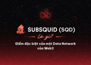What is Subsquid (SQD)?  Special features of Web3 Data Network
