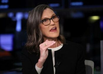 SOL price skyrocketed 20% after praise from Cathie Wood